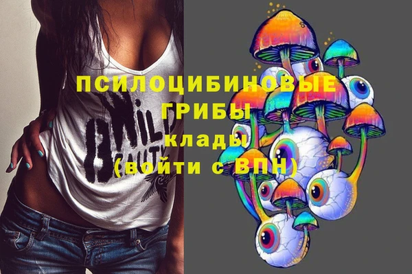 Альфа ПВП Михайловск
