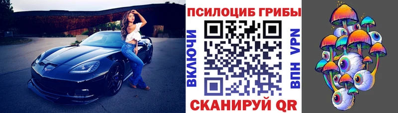где продают наркотики  дарк нет Telegram  Псилоцибиновые грибы Magic Shrooms  Тюмень  МЕГА ссылка 